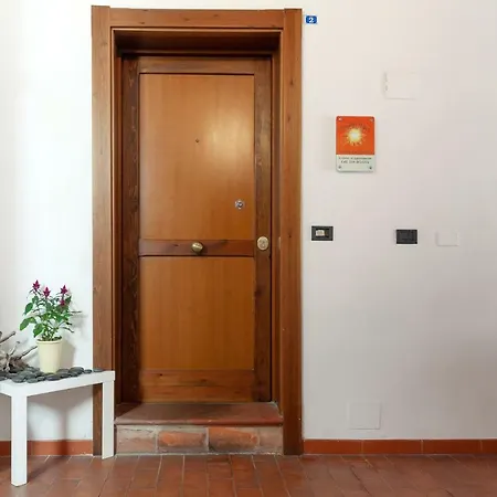 Studiosluce